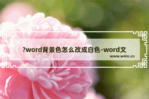 ?word背景色怎么改成白色-word文档将背景色改成白色的方法教程