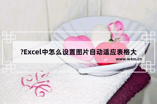 ?Excel中怎么设置图片自动适应表格大小-Excel表格中设置图片自动适应表格大小的方法教程