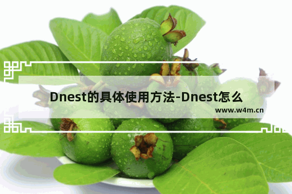 Dnest的具体使用方法-Dnest怎么使用