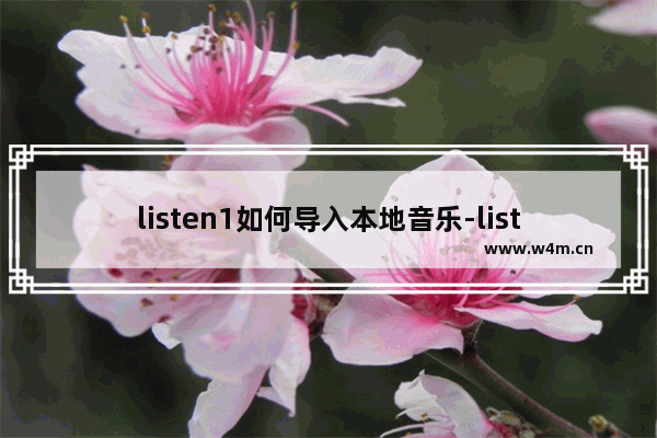 listen1如何导入本地音乐-listen1导入本地音乐的方法