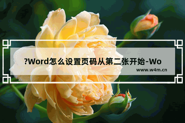 ?Word怎么设置页码从第二张开始-Word文档设置页码从第二页开始的方法教程