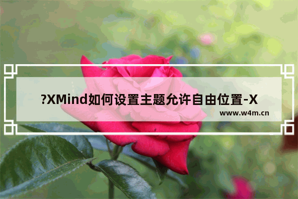 ?XMind如何设置主题允许自由位置-XMind电脑版设置允许主题自由位置的方法教程