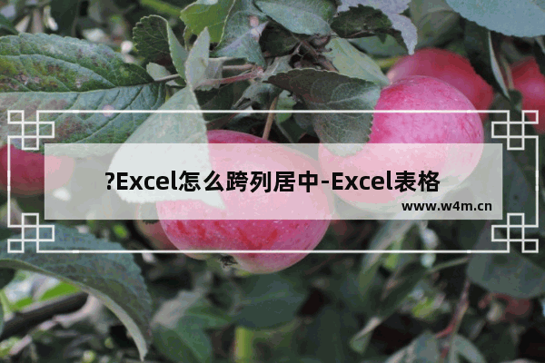 ?Excel怎么跨列居中-Excel表格设置跨列居中的方法教程