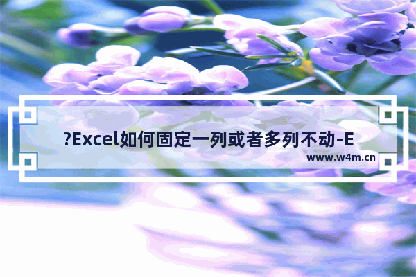 ?Excel如何固定一列或者多列不动-Excel表格固定列不动的方法教程