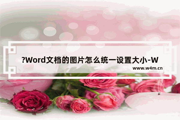 ?Word文档的图片怎么统一设置大小-Word文档统一设置图片大小的方法教程