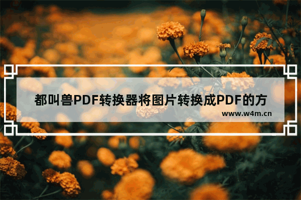 都叫兽PDF转换器将图片转换成PDF的方法-都叫兽PDF转换器如何将图片转换成PDF