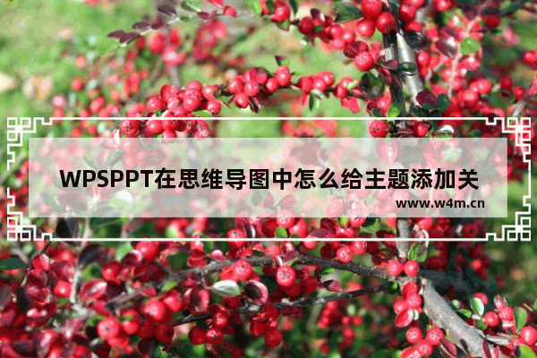 WPSPPT在思维导图中怎么给主题添加关联-WPSPPT在思维导图中将两个主题添加关联的方法