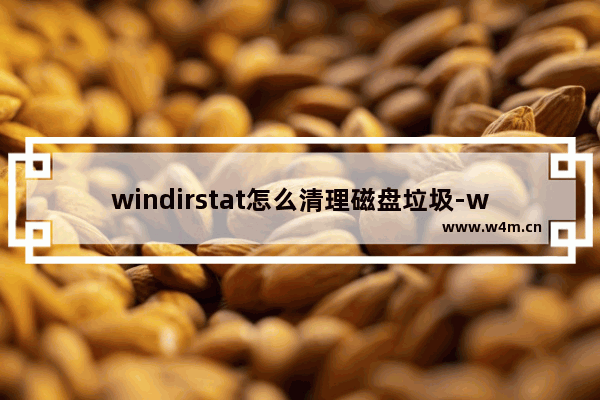 windirstat怎么清理磁盘垃圾-windirstat清理磁盘垃圾的方法