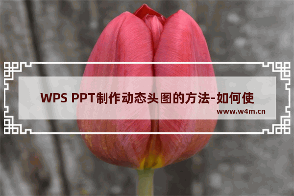 WPS PPT制作动态头图的方法-如何使用WPS PPT制作动态头图