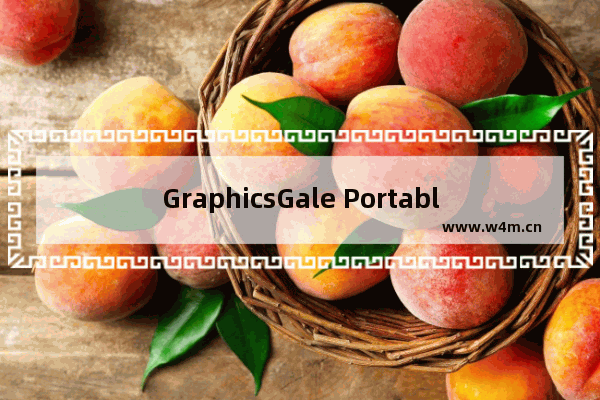 GraphicsGale Portable汉化版怎么开始绘画-GraphicsGale Portable汉化版开始绘画的方法