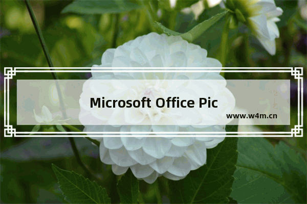 Microsoft Office Picture Manager调整图片尺寸的方法-Microsoft Office Picture Manager怎么调整图片尺寸