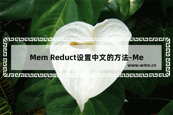 Mem Reduct设置中文的方法-Mem Reduct怎么设置中文