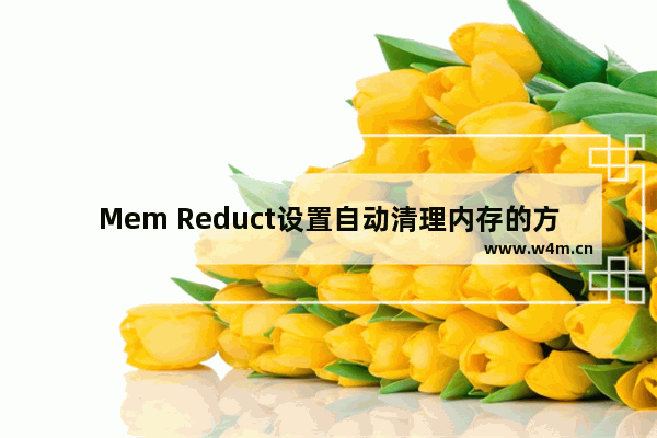 Mem Reduct设置自动清理内存的方法-Mem Reduct怎么设置自动清理内存