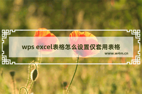 wps excel表格怎么设置仅套用表格样式-wps excel表格设置仅套用表格样式的方法