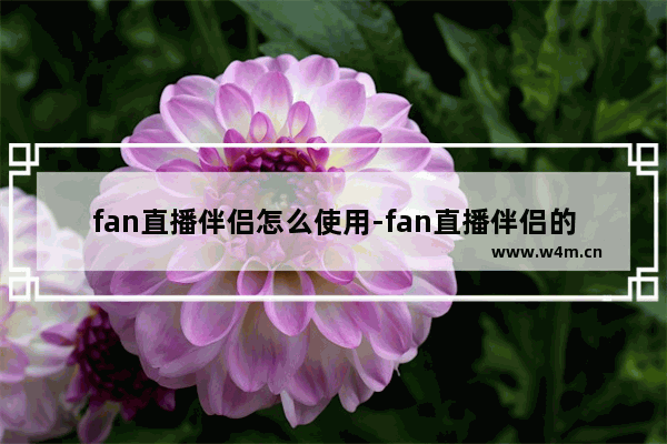 fan直播伴侣怎么使用-fan直播伴侣的使用方法