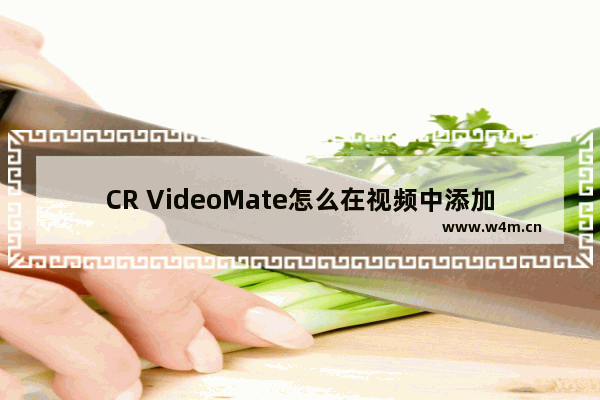 CR VideoMate怎么在视频中添加片头片尾-CR VideoMate在视频中添加片头片尾的方法