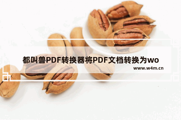 都叫兽PDF转换器将PDF文档转换为word方法-都叫兽PDF转换器如何将PDF文档转换为word