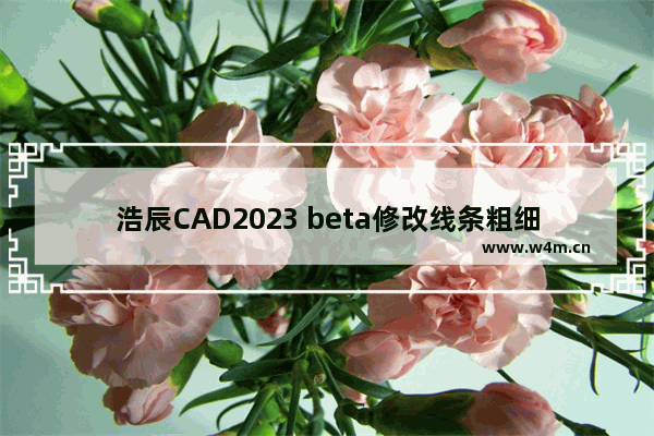 浩辰CAD2023 beta修改线条粗细的方法-浩辰CAD2023 beta怎么修改线条粗细