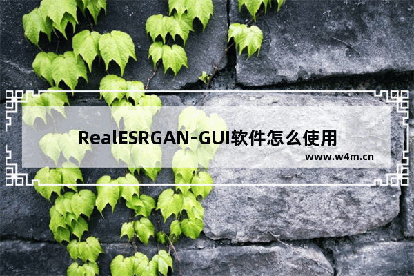 RealESRGAN-GUI软件怎么使用-RealESRGAN-GUI软件的使用方法