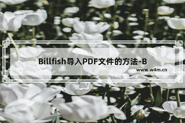 Billfish导入PDF文件的方法-Billfish怎么导入PDF文件