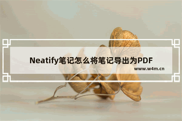 Neatify笔记怎么将笔记导出为PDF-Neatify笔记将笔记导出为PDF的方法