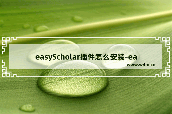 easyScholar插件怎么安装-easyScholar插件安装的方法