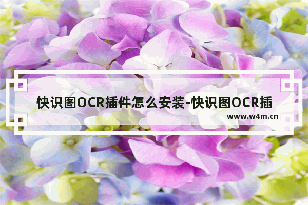 快识图OCR插件怎么安装-快识图OCR插件进行安装的方法