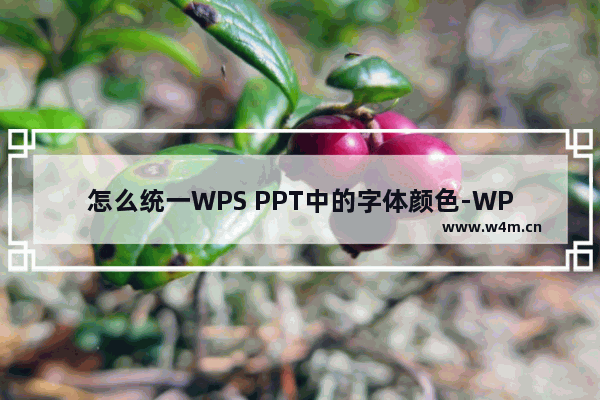 怎么统一WPS PPT中的字体颜色-WPS PPT将所有幻灯片字体颜色更改为同一种颜色方法