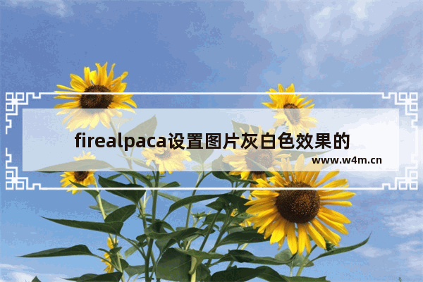 firealpaca设置图片灰白色效果的方法-firealpaca怎么设置图片灰白色效果