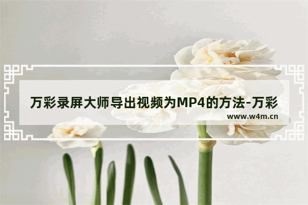 万彩录屏大师导出视频为MP4的方法-万彩录屏大师怎么导出MP4视频