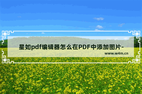 星如pdf编辑器怎么在PDF中添加图片-星如pdf编辑器在PDF中添加图片的方法