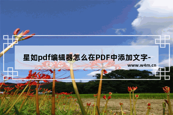 星如pdf编辑器怎么在PDF中添加文字-星如pdf编辑器在PDF中添加文字的方法