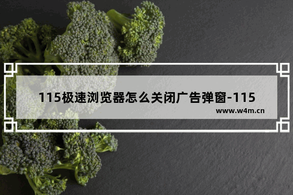 115极速浏览器怎么关闭广告弹窗-115极速浏览器关闭广告弹窗的方法