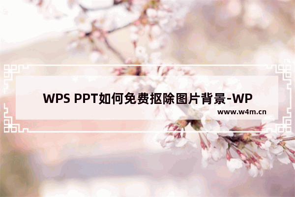 WPS PPT如何免费抠除图片背景-WPS PPT免费抠除图片背景的方法