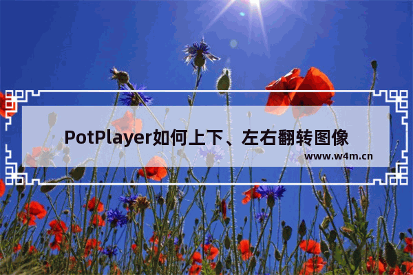 PotPlayer如何上下、左右翻转图像-PotPlayer上下、左右翻转图像的方法