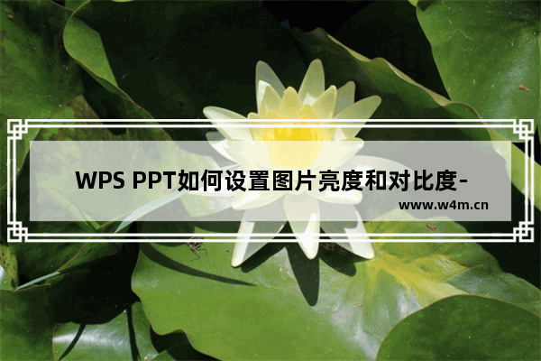 WPS PPT如何设置图片亮度和对比度-WPS PPT设置图片亮度和对比度的方法