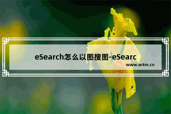 eSearch怎么以图搜图-eSearch以图搜图的方法