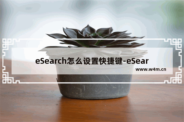 eSearch怎么设置快捷键-eSearch设置快捷键的方法