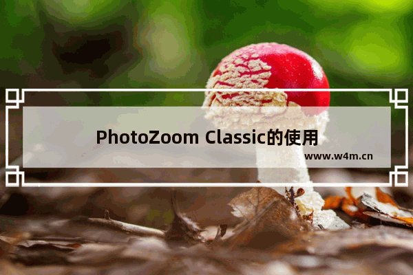 PhotoZoom Classic的使用方法-PhotoZoom Classic怎么放大图片