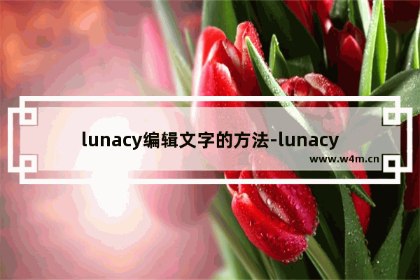 lunacy编辑文字的方法-lunacy怎么编辑文字