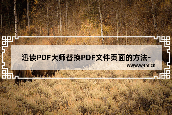 迅读PDF大师替换PDF文件页面的方法-迅读PDF大师如何替换PDF文件页面