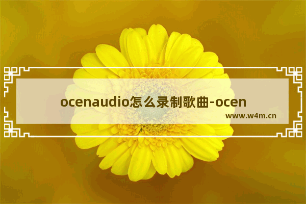 ocenaudio怎么录制歌曲-ocenaudio录制歌曲的方法