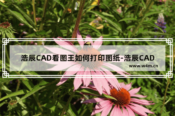 浩辰CAD看图王如何打印图纸-浩辰CAD看图王打印图纸的方法