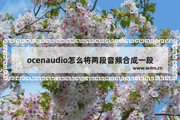 ocenaudio怎么将两段音频合成一段-ocenaudio将两段音频合成一段的方法