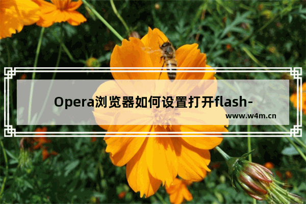 Opera浏览器如何设置打开flash-Opera浏览器打开flash的方法