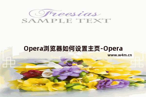 Opera浏览器如何设置主页-Opera浏览器设置主页的方法