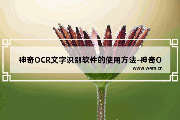 神奇OCR文字识别软件的使用方法-神奇OCR文字识别软件怎么使用