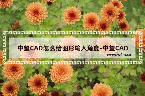 中望CAD怎么给图形输入角度-中望CAD给图形输入角度的方法