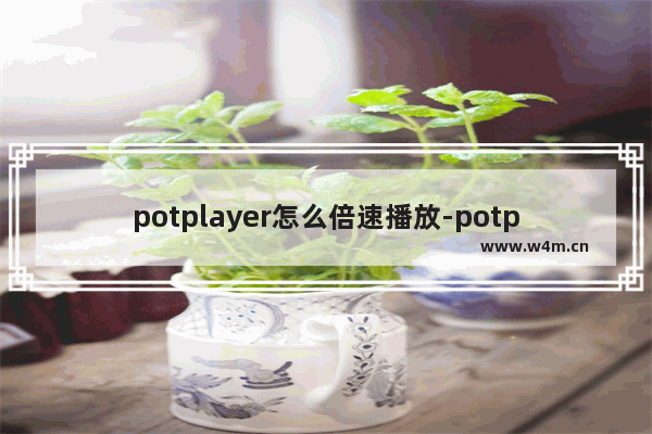 potplayer怎么倍速播放-potplayer倍速快捷键使用的方法