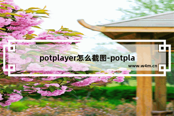 potplayer怎么截图-potplayer截图的方法